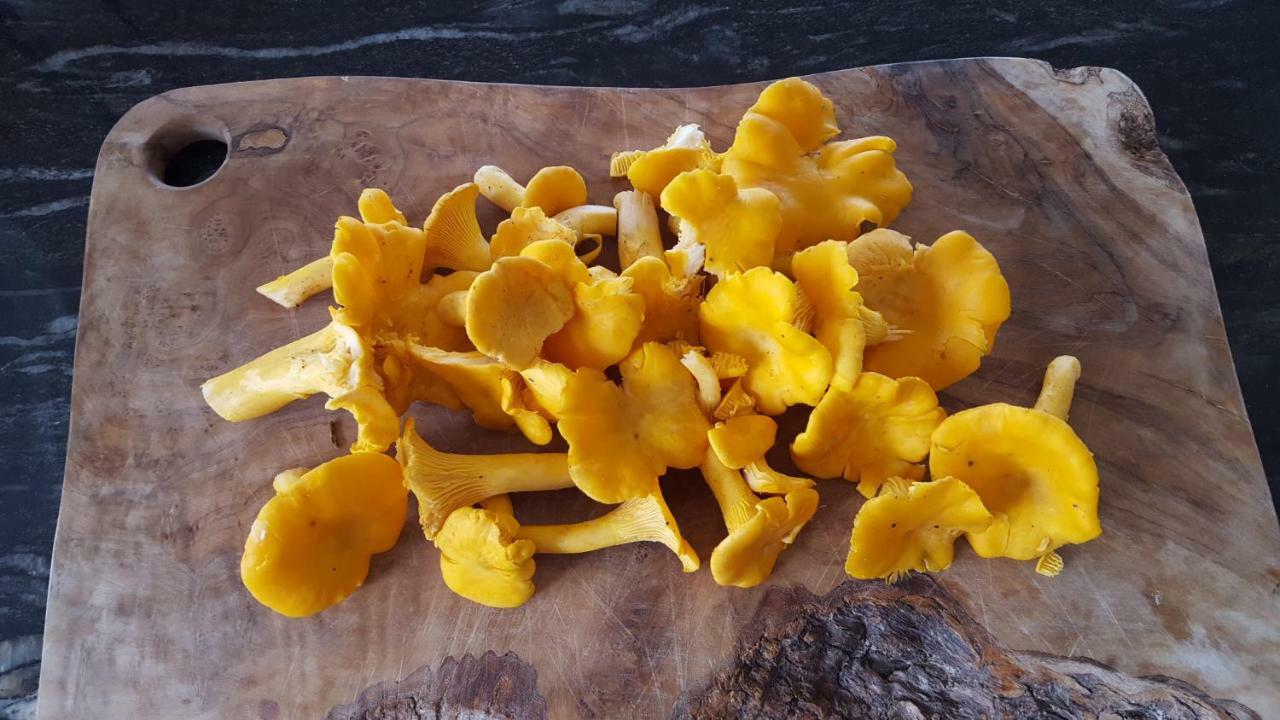Wester Blackpark Farm Inverness Ngoại thất bức ảnh